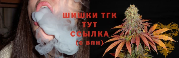 ешки Вяземский
