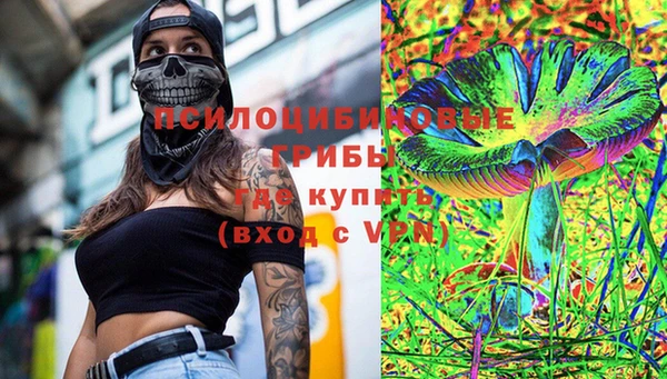 спайс Корсаков