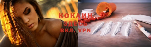 ешки Вяземский