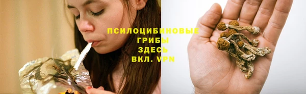 ешки Вяземский