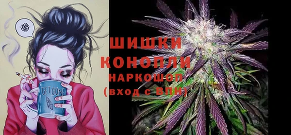 СК Горнозаводск