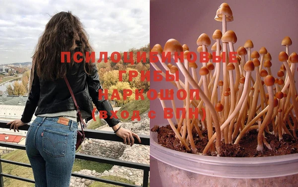 ешки Вяземский