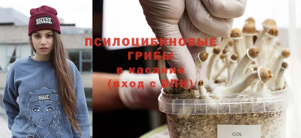 ешки Вяземский